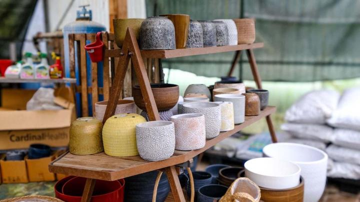 Production de plantes Le Tampon