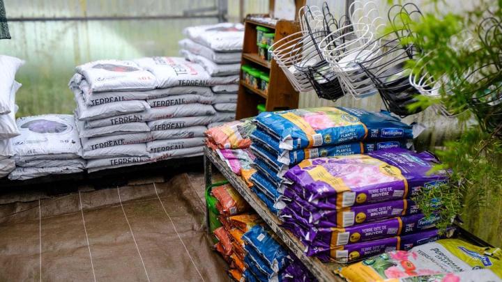 Producteur de plantes Le Tampon