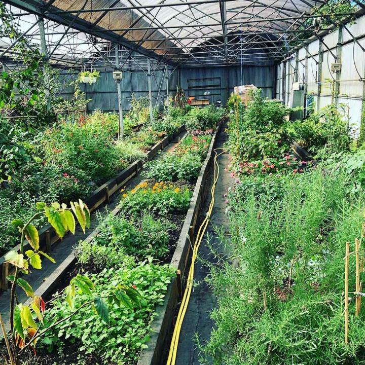 Optez pour l’intervention de notre équipe compétente.